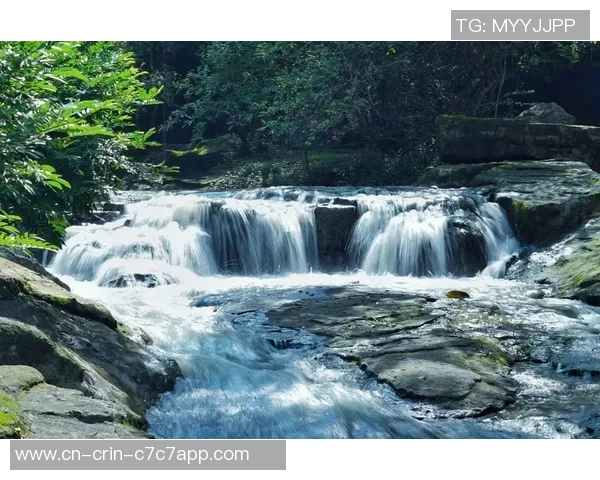 斯洛特：没有任何理由能够掩盖咱们输掉这么多竞赛的现实
